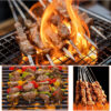 Stainless Steel Flat BBQ Skewers with Storage Tube (1)